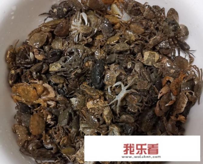 小螃蟹的做法和处理方法