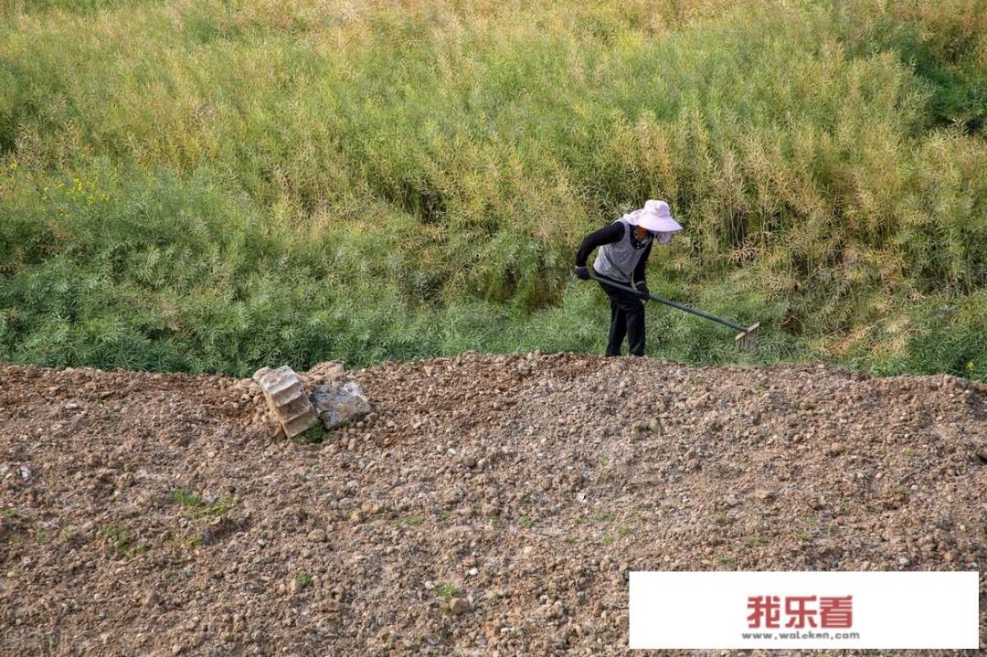 在农村里，你见过低调的人有多低调