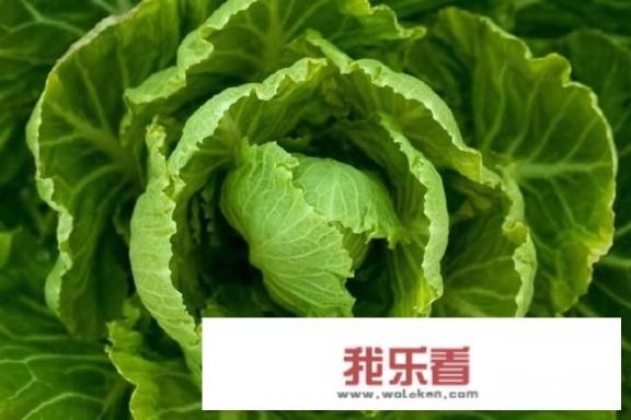 你平时喜欢吃哪些叶菜？哪些叶菜有营养？这些叶菜都怎么做好吃呢