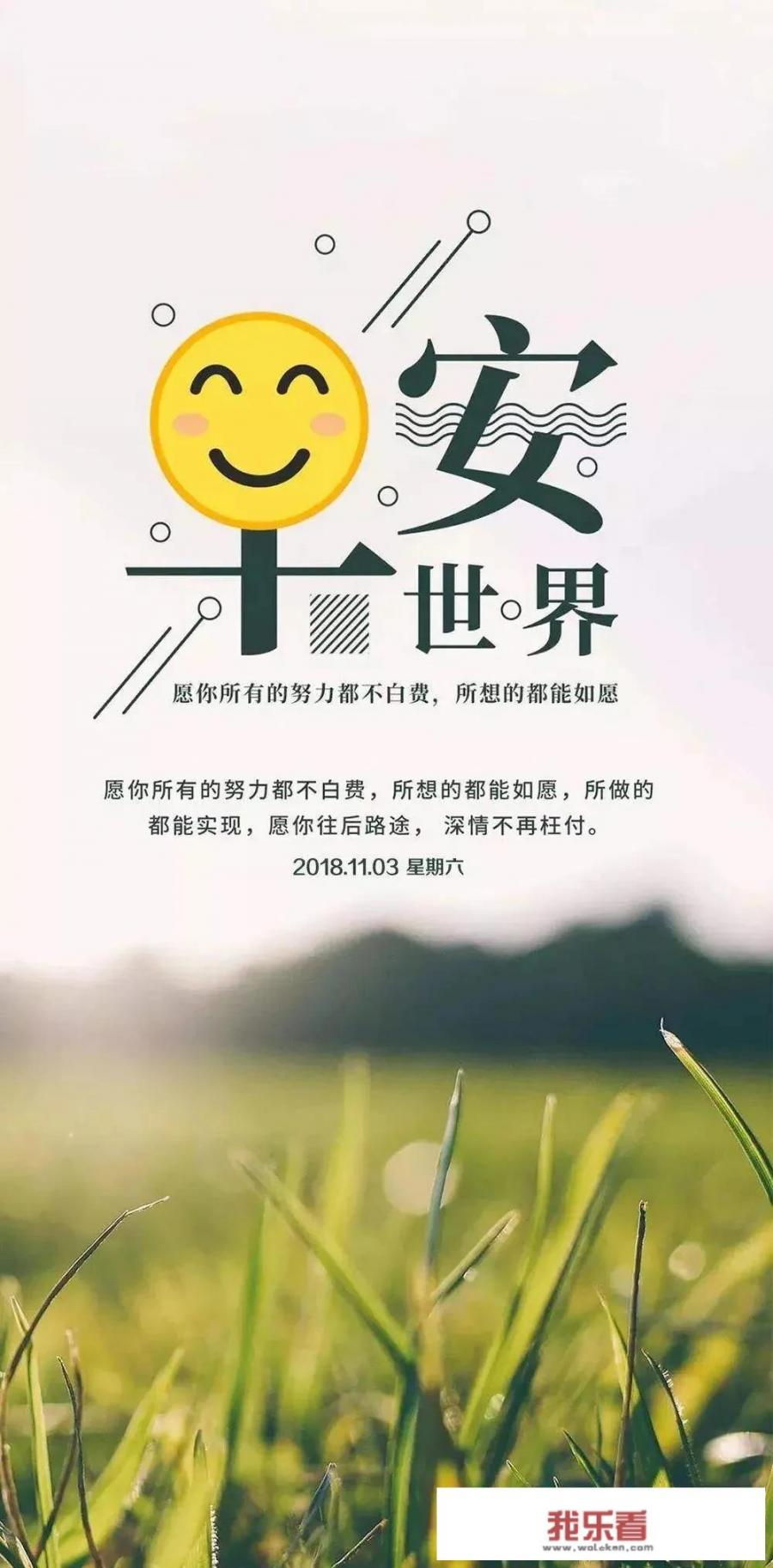 用过苹果6的，现在都换什么手机了