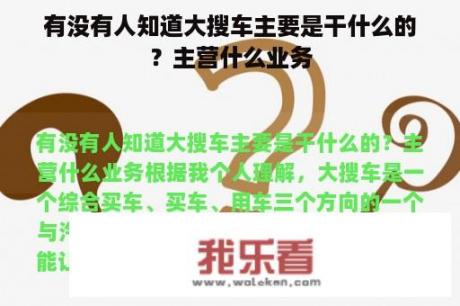 有没有人知道大搜车主要是干什么的？主营什么业务