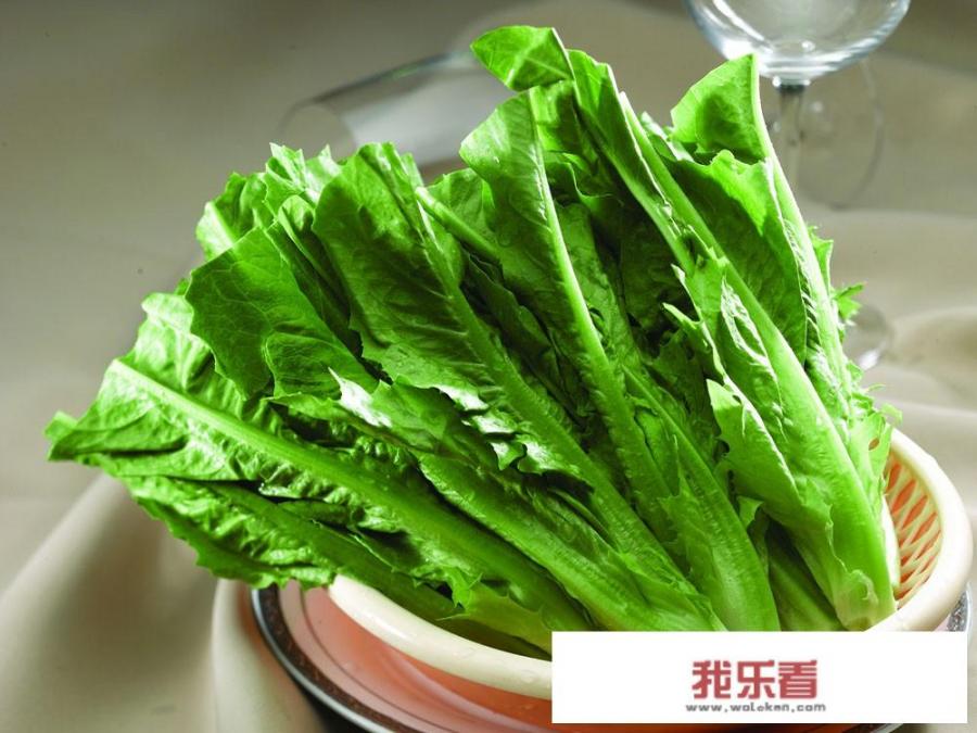 油麦菜为什么被称为草中之王