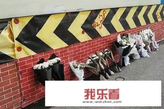 大连恶魔刘东终于被处决，他为什么要用宝马车撞死无辜的路人