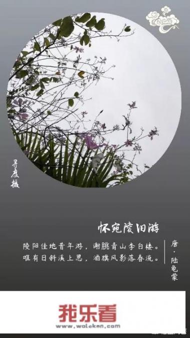 有哪些可以查找诗词的app或者网站