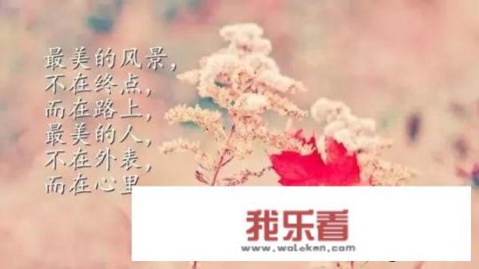 有没有历经沧桑之后，有些忧伤无奈的，一眼难忘的句子