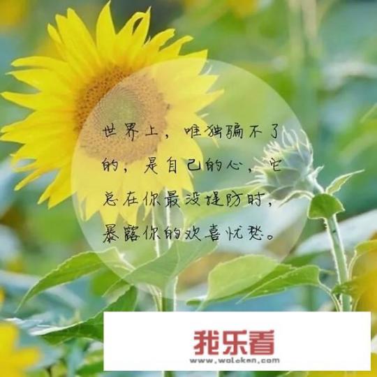 生活中难免出现忧愁，如何保持乐观的心态，凡事看开一点