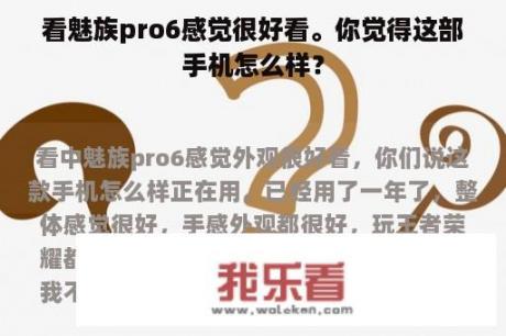 看魅族pro6感觉很好看。你觉得这部手机怎么样？