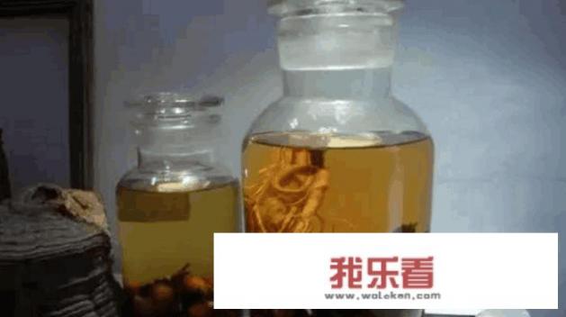 菟丝子可以和肉苁蓉，锁阳搭配泡酒吗？怎样泡