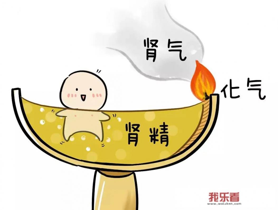 黄芪和锁阳泡水喝有什么功效