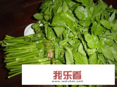 芹菜被称为“夫妻菜”，为什么这么说呢