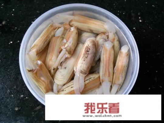 蛏子应该如何烹饪？有哪些需要注意的问题