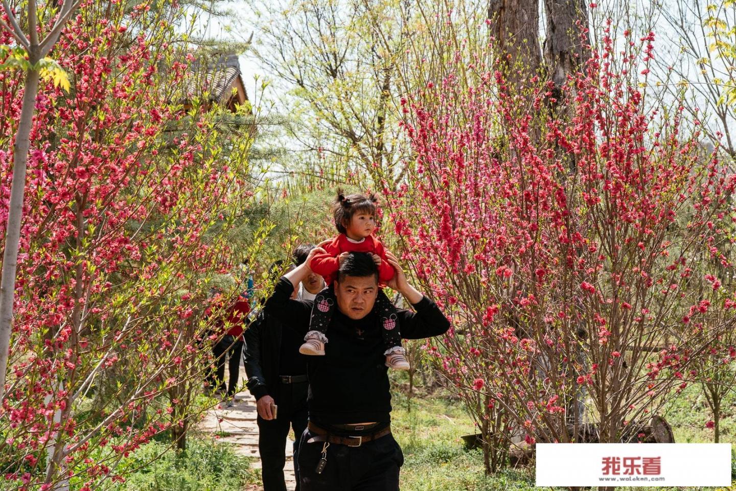 清明节摄影有什么要注意的吗