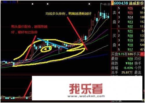 老鸭头形态是什么样的，有什么实战操作技巧