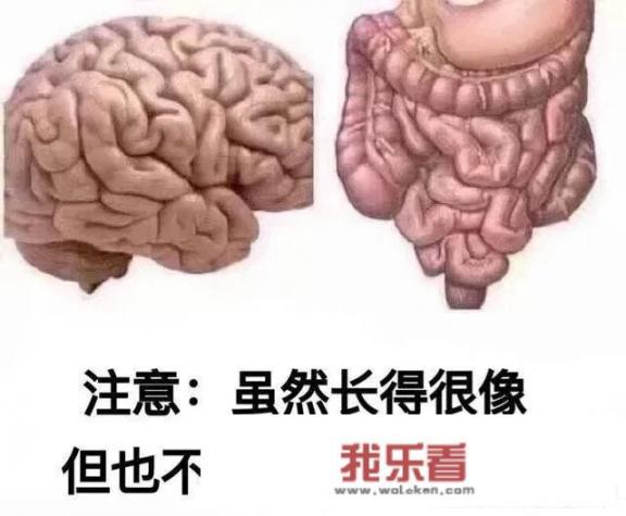 大家有哪些怼人的表情包分享