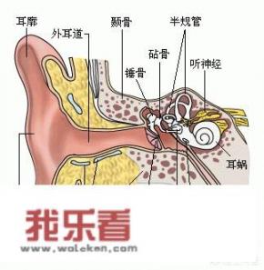 为什么耳朵需要耳浴呢？耳浴为什么用Na2HCO3呢