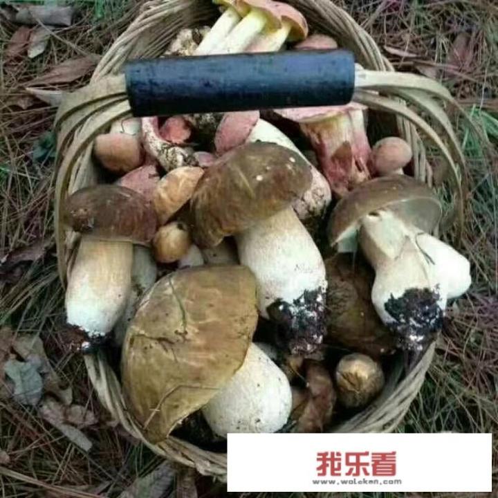 做销售的最终出路在哪里