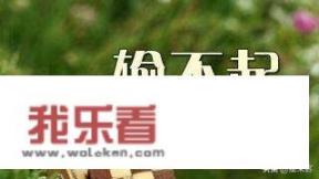 人生有四苦（看不透，舍不得，输不起，放不下），你断了几个