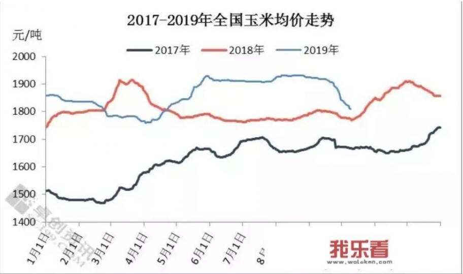 新季玉米上市，各地收购价却接连下跌，今年的新粮冲击提前了吗