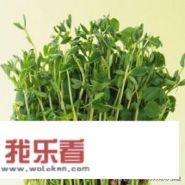 都说豆芽种植成本低见效快，怎么种植才能获得高收益