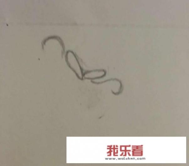 怎样画鲤鱼的简笔画