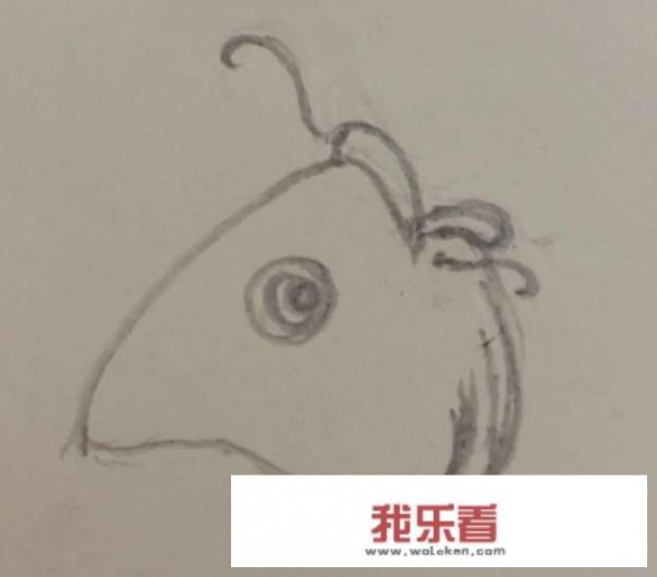 怎样画鲤鱼的简笔画