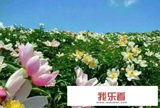 无法原谅过去的自己，无法自拔，好痛苦，该怎么办