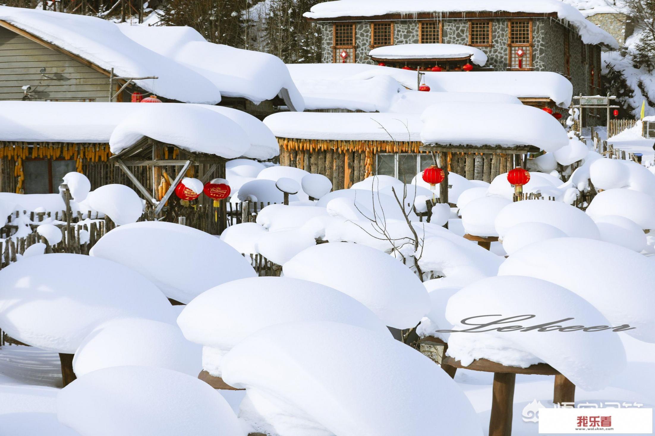 到雪乡旅游，靠谱的价格是多少