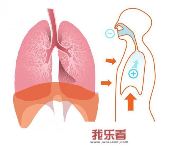 咳嗽干咳吃什么好得快