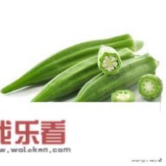 秋葵种植季节是什么时候