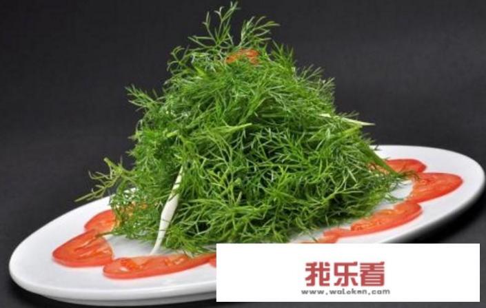 茴香肉馅忌讳什么