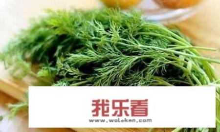 茴香肉馅忌讳什么