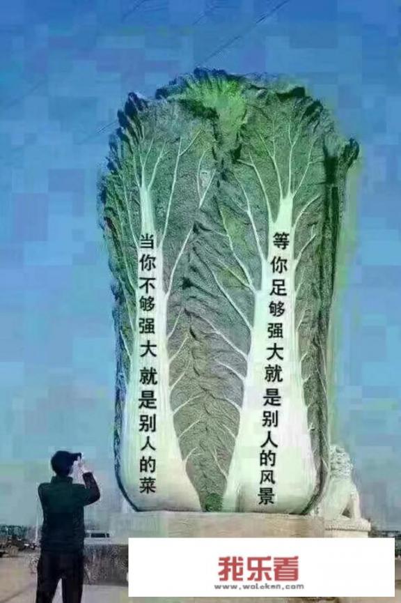 华为国产芯片麒麟系列还需要多久才能赶上高通，超过苹果