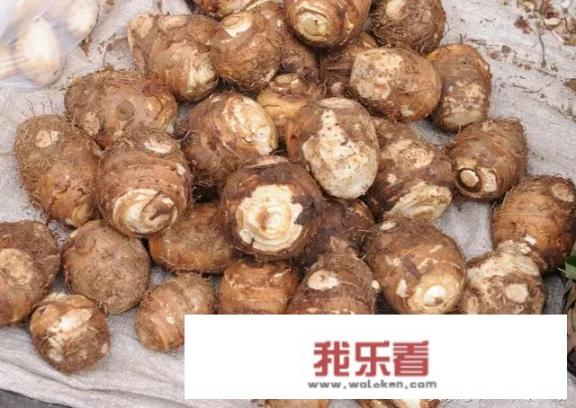 炒红烧肉放什么蔬菜呢？除了土豆