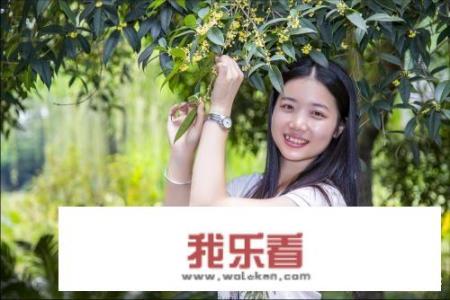 北方家中如何养护桂花？_桂花茶怎么制作视频