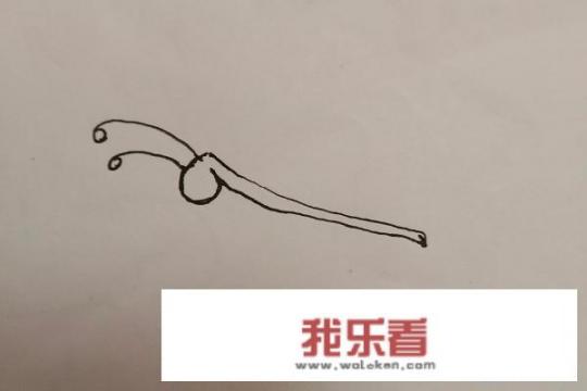 飞舞的蝴蝶简笔画怎么画？_蝴蝶简笔画 儿童简笔画