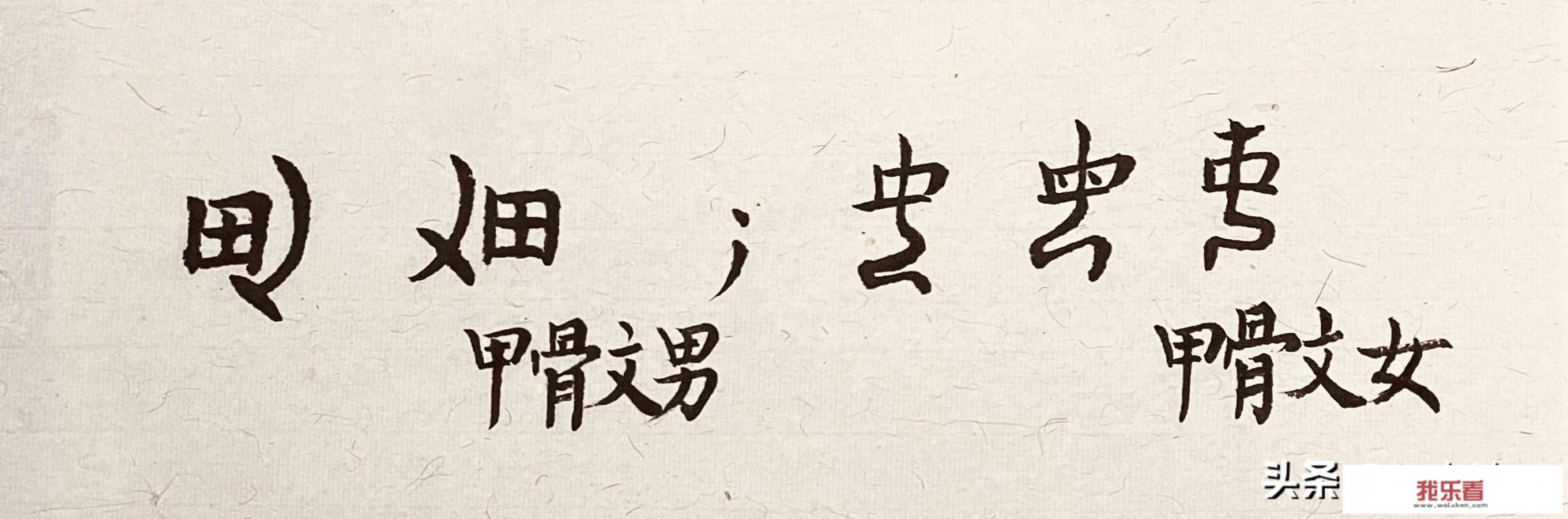 谈一下“男”字“和女”字，从字的结构上怎样解析？_书法甲金lu