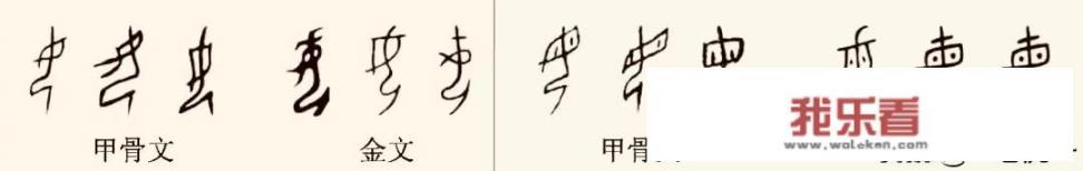 谈一下“男”字“和女”字，从字的结构上怎样解析？_书法甲金lu