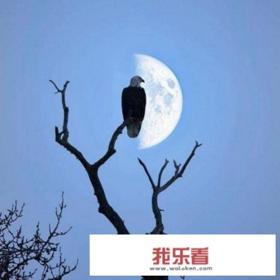 夜晚很孤独，有孤独的句子吗？我想听？_午夜电影在线观看暗香影院