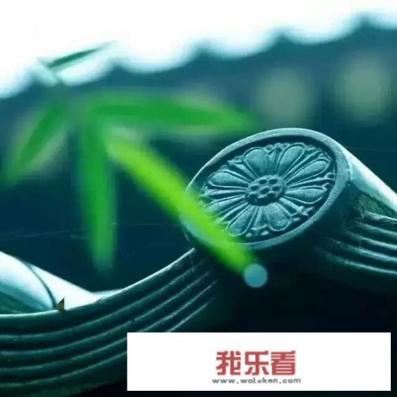 什么是有趣的灵魂？如何才能有有趣的灵魂？_怎么样过有意思的人生