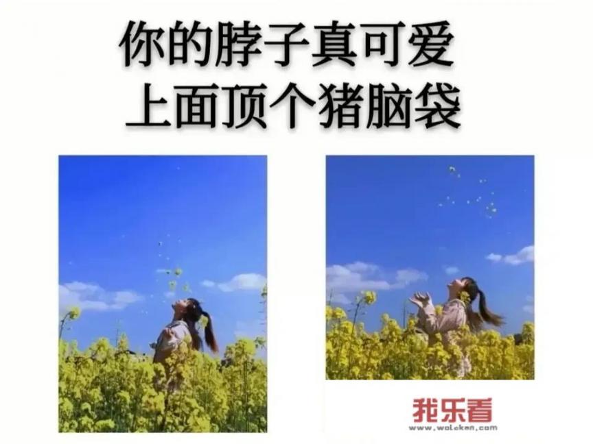 你听过哪些怼人的语录？_经典伤感语录短句