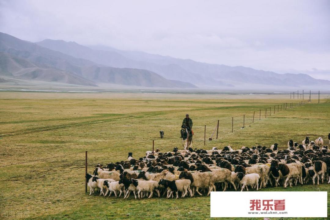 住蒙古包时，遇到过最尴尬最害羞的事情是什么？_划伤的爱日本电影在线