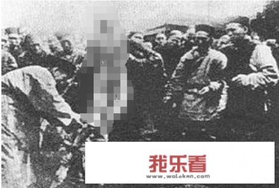 历史上哪些冷知识你掉鸡皮疙瘩？_大众汽车图标简笔画