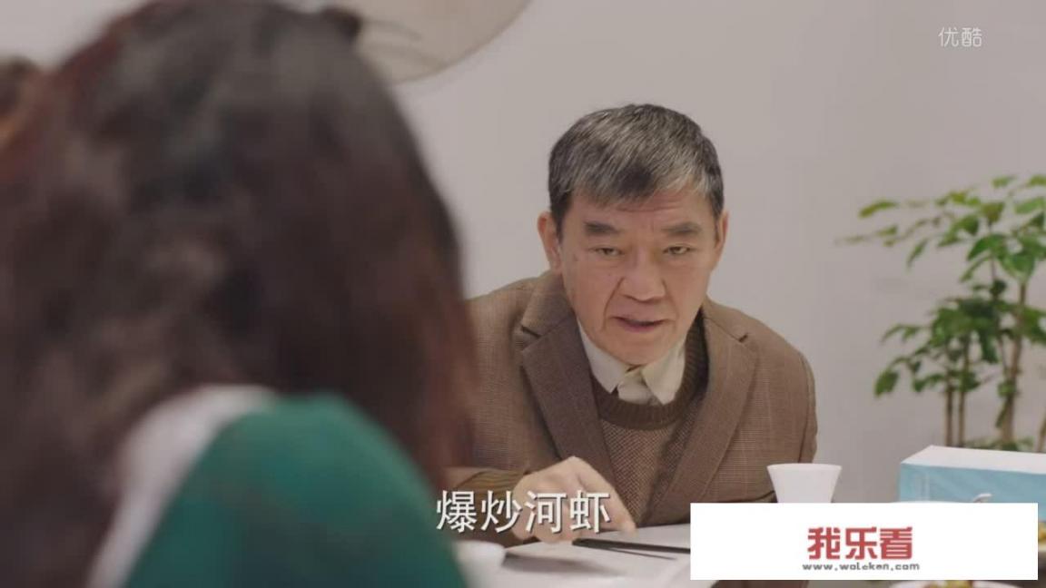 如何评价热播剧《幸福一家人》？_幸福一家人图片