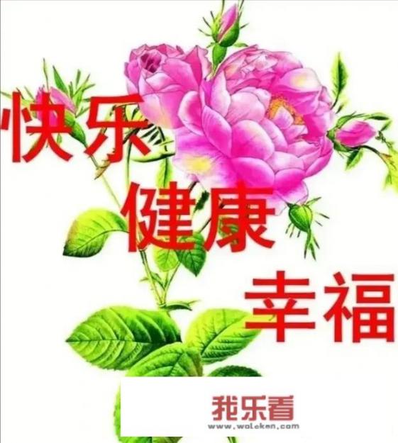 谁能告诉我幸福是什么？_我的缤纷世界作文350