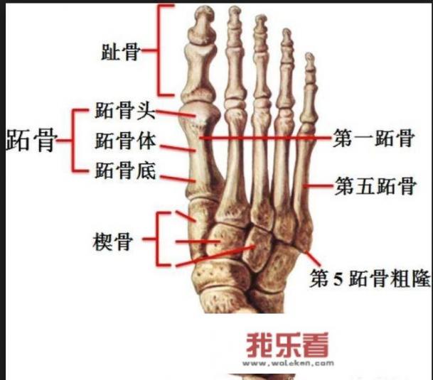 内马尔受伤了？他能赶上与皇马的欧冠吗？_内马尔法甲单挑后防