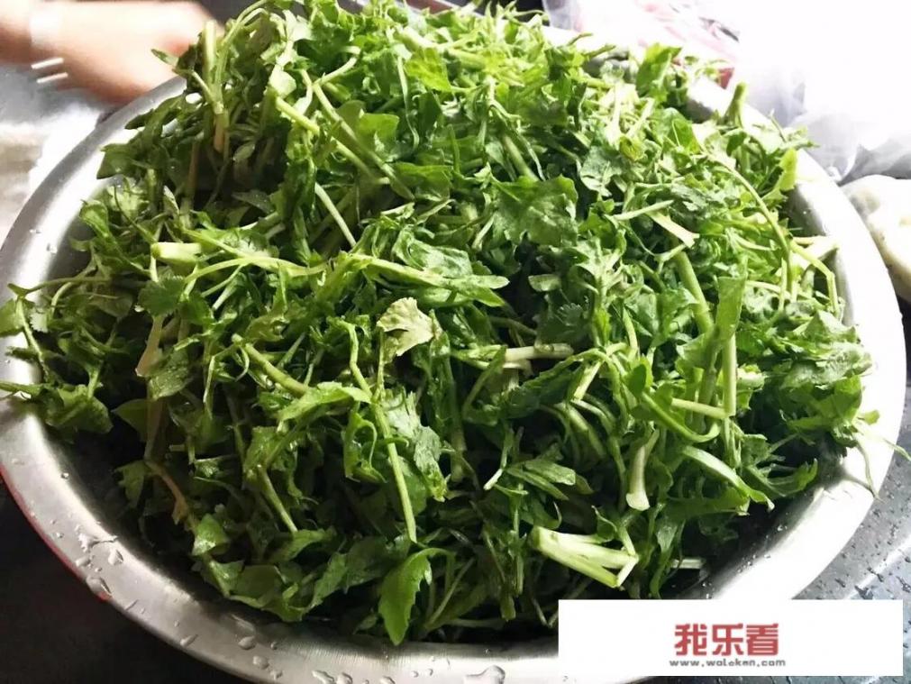 荠菜三鲜饺正宗做法