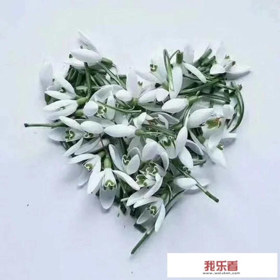 对考试感到非常焦虑怎么办