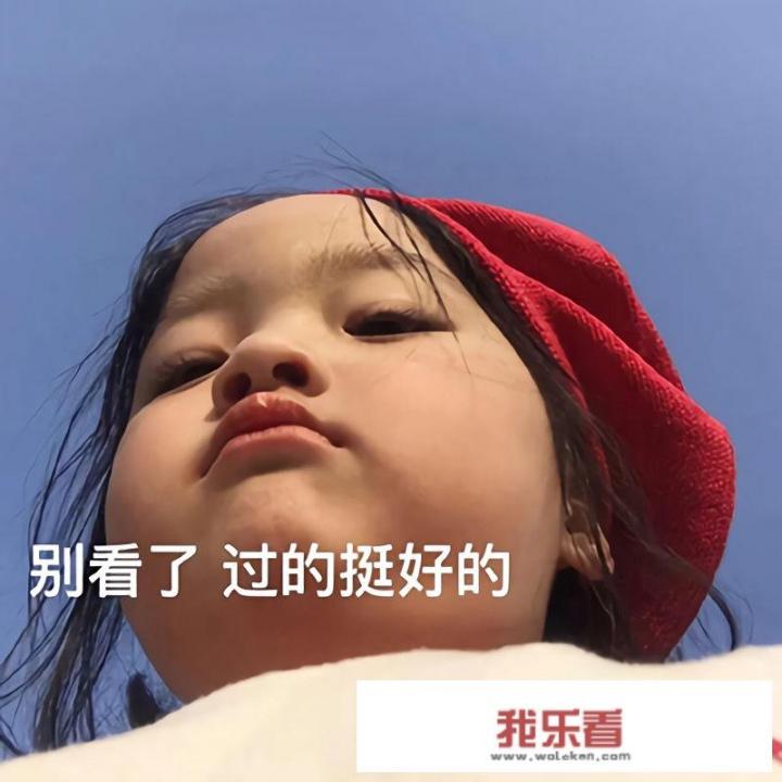 宠物饼干人能吃吗？为什么