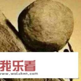 你对“生命不息，奋斗不止”这句话有怎样的理解