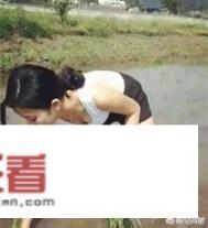 滨州怎么订婚